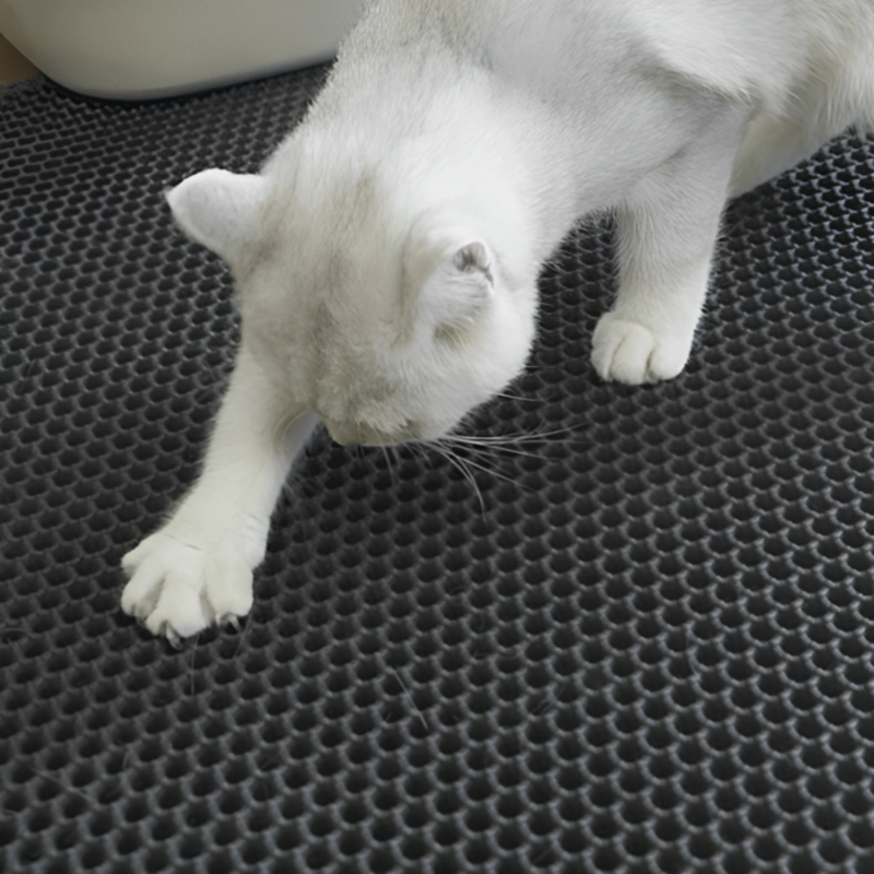 Double-layer Cat Litter Mat